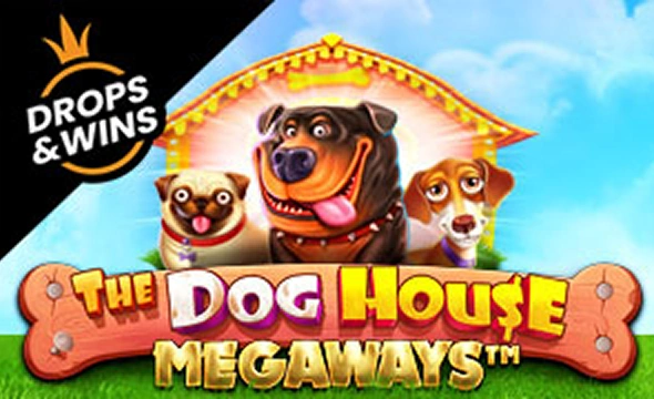 Dog House